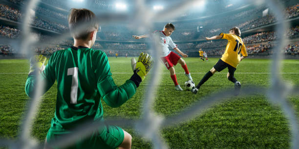 霍芬海姆与 霍芬海姆与