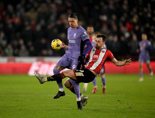 在近期的非 在近期的非